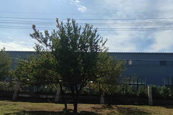 對(duì)于撫順鐵嶺沈陽彩鋼廠房的加工質(zhì)量檢測至關(guān)重要